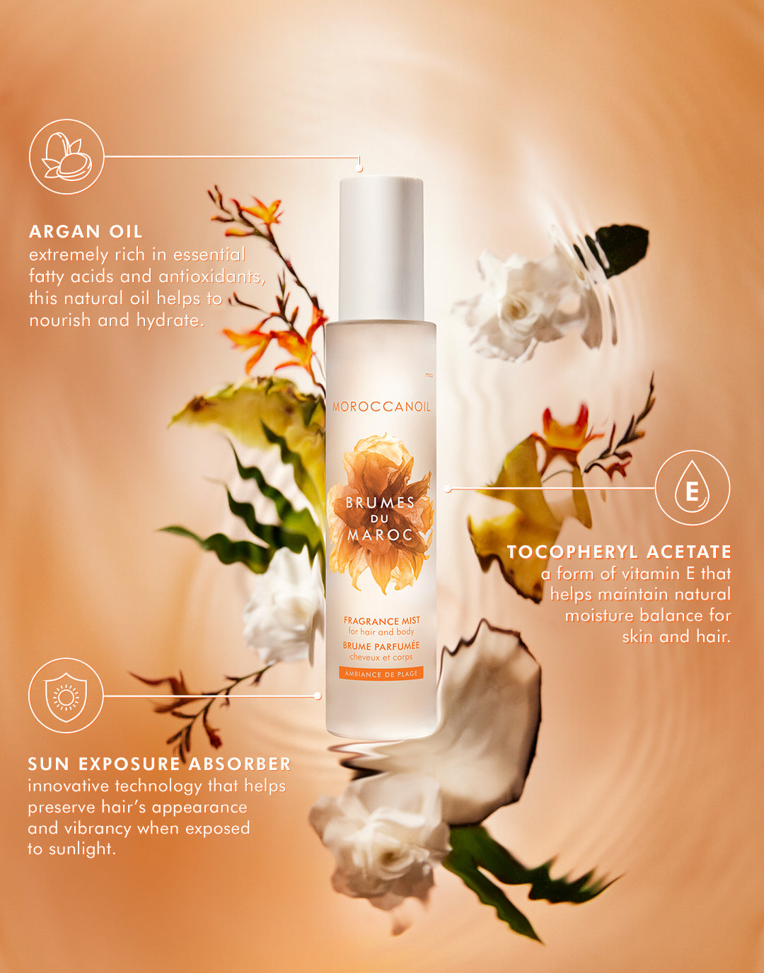 商品 – Moroccanoil